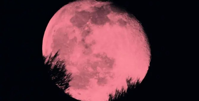 Occhi al cielo, arriva la luna rosa: ecco quando ammirarla