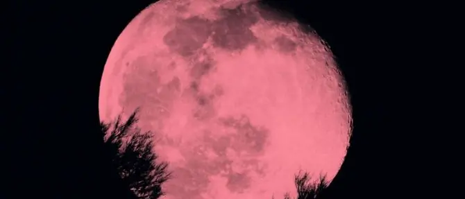 Occhi al cielo, arriva la luna rosa: ecco quando ammirarla