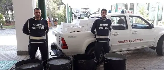 Maxi sequestro di novellame a Roccella Jonica