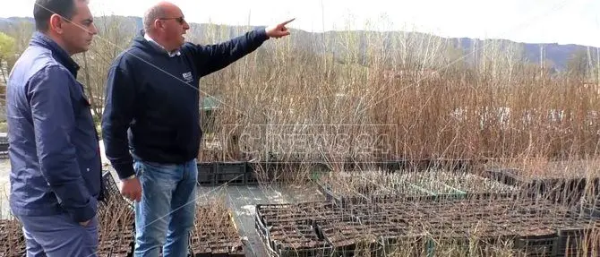 Calabria innovativa: parte da Serrastretta la lotta naturale ai pesticidi