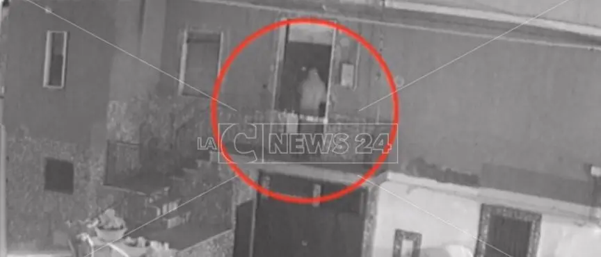 Ha rifiutato di fare sesso perché incinta. Per questo Romina è stata uccisa dal marito