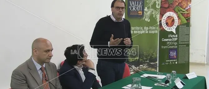 Gal della Valle del Crati, due milioni per incentivare lo sviluppo