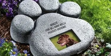 Scalea, la politica pensa a un cimitero per gli animali domestici