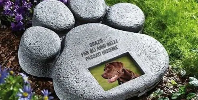 Scalea, la politica pensa a un cimitero per gli animali domestici