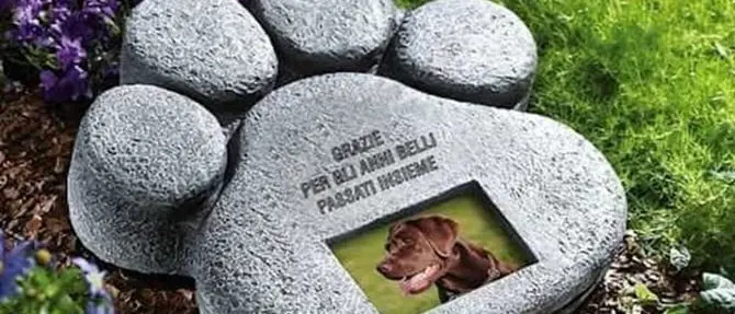 Scalea, la politica pensa a un cimitero per gli animali domestici