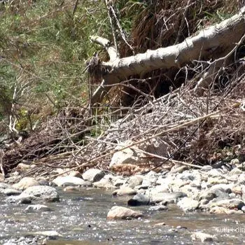 Dopo i morti per l'alluvione nessun intervento sui torrenti del Lametino