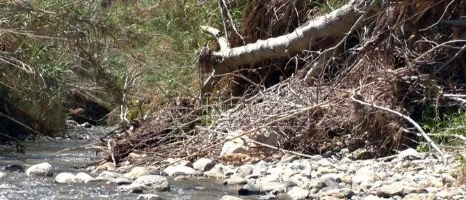 Dopo i morti per l'alluvione nessun intervento sui torrenti del Lametino