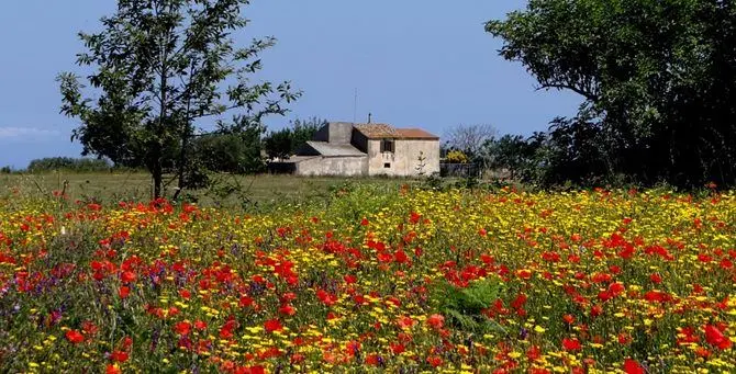 Pasqua e Pasquetta all'insegna di tempo stabile e clima primaverile