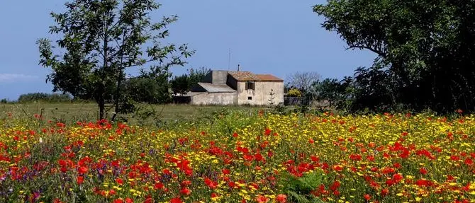 Pasqua e Pasquetta all'insegna di tempo stabile e clima primaverile