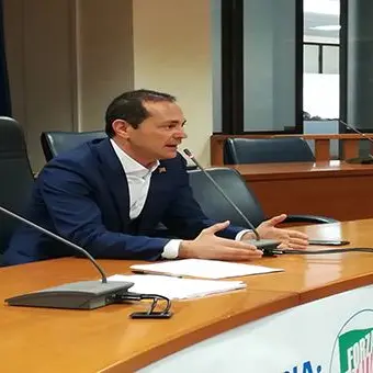 Sanità, Siclari: «Il Governo vari un decreto salva Calabria»