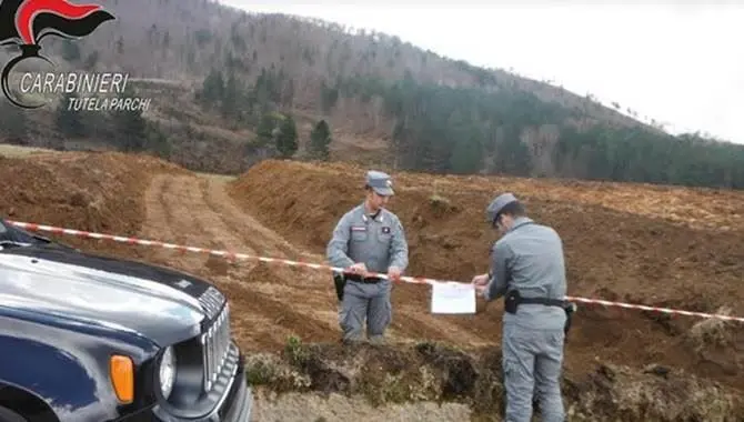 Realizza due strade abusive nel Parco della Sila, denunciato