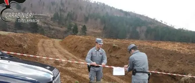 Realizza due strade abusive nel Parco della Sila, denunciato