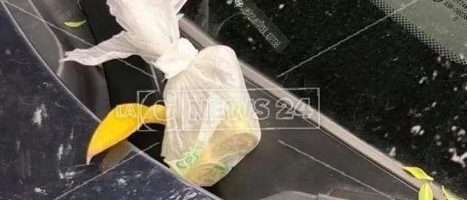 Due proiettili sull'auto, nuova intimidazione al sindaco di Roccabernarda