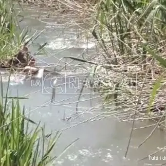 Caronte di Lamezia e quelle bellezze a rischio di dissesto idrogeologico