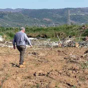 Sei mesi dopo l’esondazione del Turrina aziende in ginocchio: «Lasciati soli»