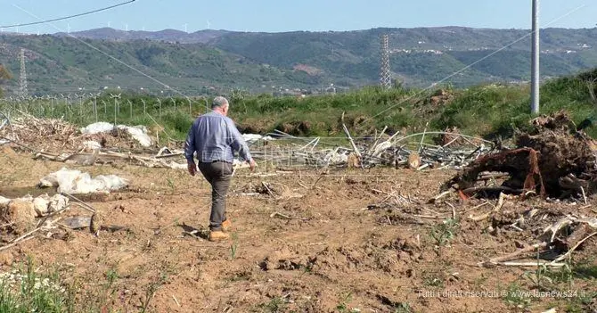 Sei mesi dopo l’esondazione del Turrina aziende in ginocchio: «Lasciati soli»