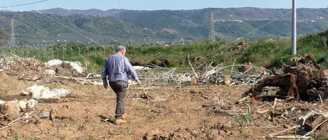 Sei mesi dopo l’esondazione del Turrina aziende in ginocchio: «Lasciati soli»