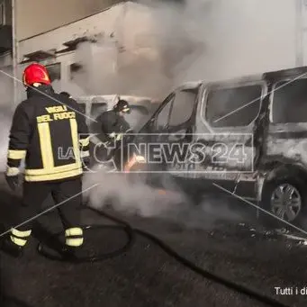 Il fuoco della 'ndrangheta non brucia le speranze della ditta di tour turistici