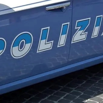 Lamezia, accusato di maltrattamenti in famiglia cerca di fuggire agli agenti