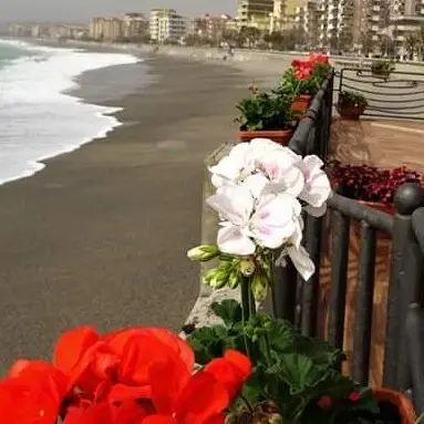 Piante e fiori per ricordare Matteo sulla terrazza di Catanzaro Lido