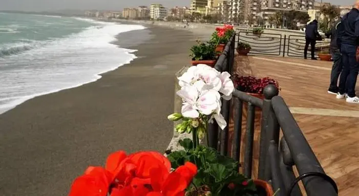 Piante e fiori per ricordare Matteo sulla terrazza di Catanzaro Lido