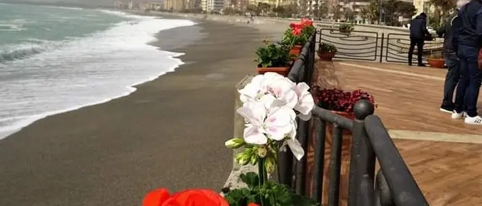 Piante e fiori per ricordare Matteo sulla terrazza di Catanzaro Lido