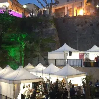 Tropea Cipolla Party, al via il primo festival internazionale per la Rossa