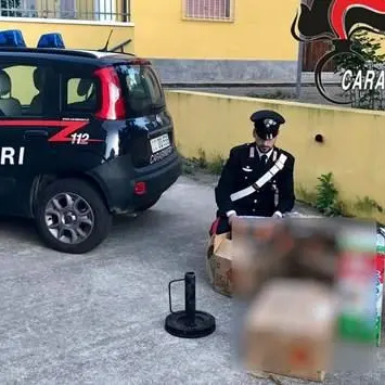 Fuochi d'artificio illegalmente detenuti in sagrestia, priore denunciato