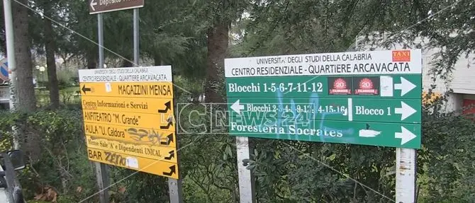 Unical, elezioni studentesche: la lista #Noi guarda al mondo del lavoro