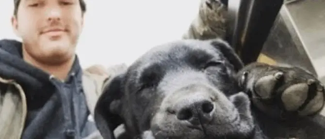 L'amore oltre i limiti, cane e padrone sordi comunicano con la lingua dei segni