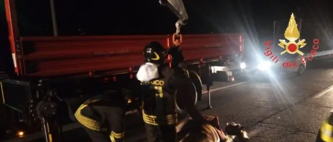 Paura a Lamezia, cavallo invade la superstrada e provoca un incidente
