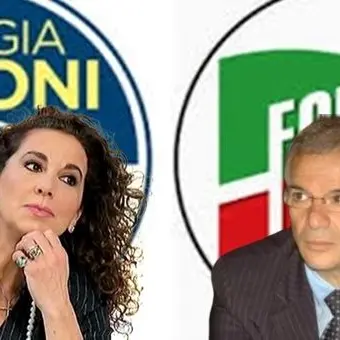 Tallini alla Ferro: «Mia carriera politica vera, non fatta nei salotti»