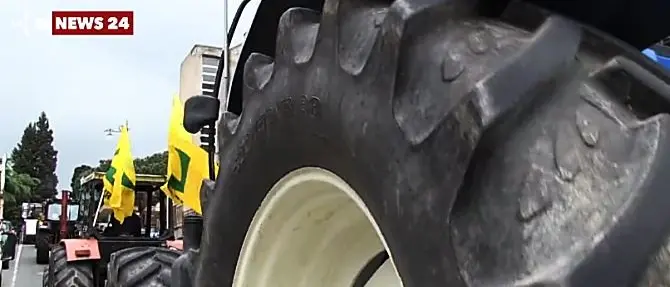 A Vibo la marcia dei trattori contro l’invasione dei cinghiali