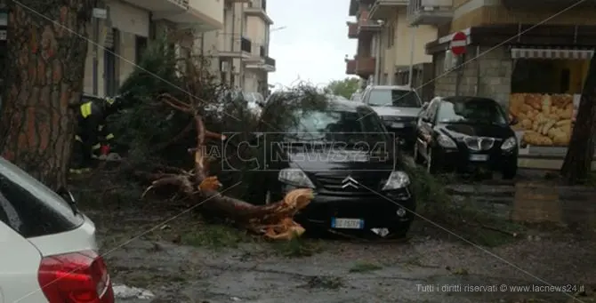 Paura a Vibo, ramo si spezza e cade su un’auto in marcia