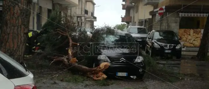 Paura a Vibo, ramo si spezza e cade su un’auto in marcia