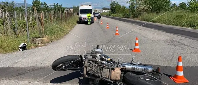 Rende, centauro tamponato e sbalzato sull'asfalto