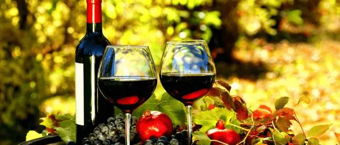 Dalla Calabria al Canada per promuovere l’enogastronomia