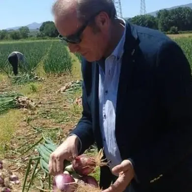 L’ex parlamentare Laratta lancia l'idea dell'assessorato alla Terra
