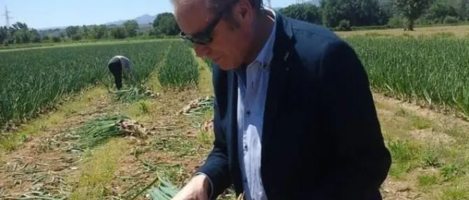 L’ex parlamentare Laratta lancia l'idea dell'assessorato alla Terra