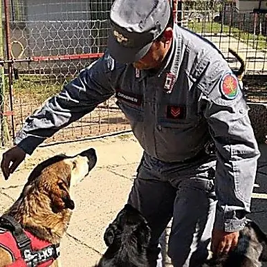 Opere abusive nel canile, scatta il sequestro a Corigliano-Rossano