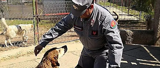 Opere abusive nel canile, scatta il sequestro a Corigliano-Rossano