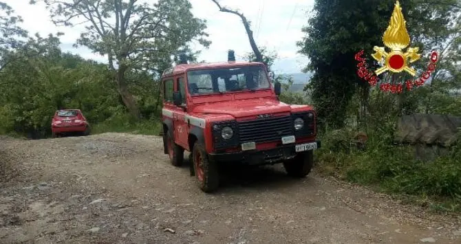 Si allontana da casa nel Vibonese e non torna, ritrovata