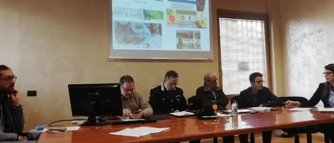 Il lupo spaventa la Calabria? «È cattivo solo nelle favole, tuteliamolo»