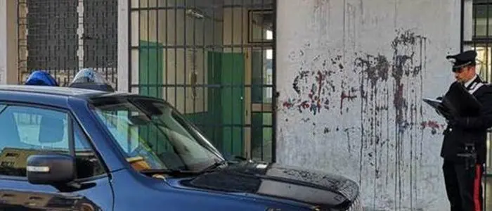 Gatto ucciso a bastonate davanti agli alunni. I carabinieri denunciano il bidello