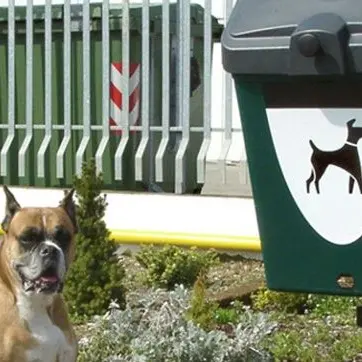 Usare il dna dei cani per beccare e multare gli incivili: la proposta del Codacons