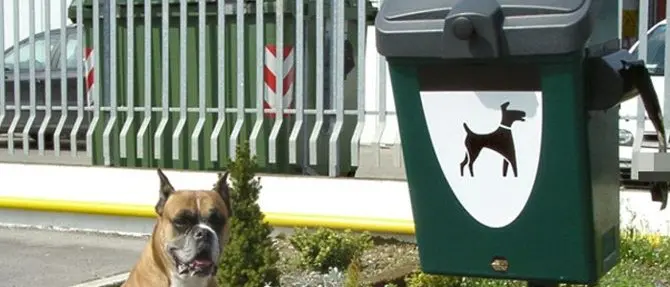 Usare il dna dei cani per beccare e multare gli incivili: la proposta del Codacons