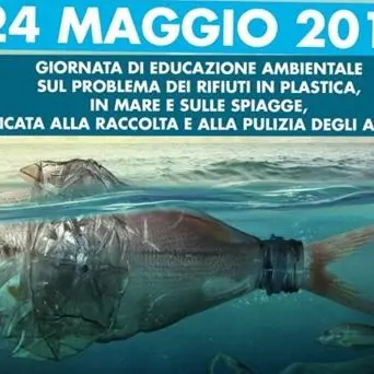 Vibo Marina, Capitaneria e studenti liberano le spiagge dalla plastica