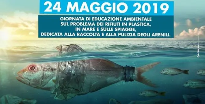 Vibo Marina, Capitaneria e studenti liberano le spiagge dalla plastica