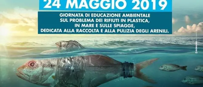 Vibo Marina, Capitaneria e studenti liberano le spiagge dalla plastica