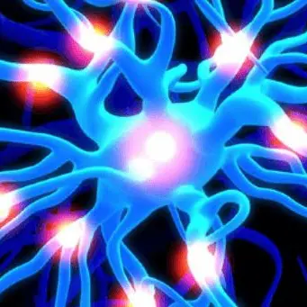 Alzheimer, scoperta la causa che accelera la morte dei neuroni